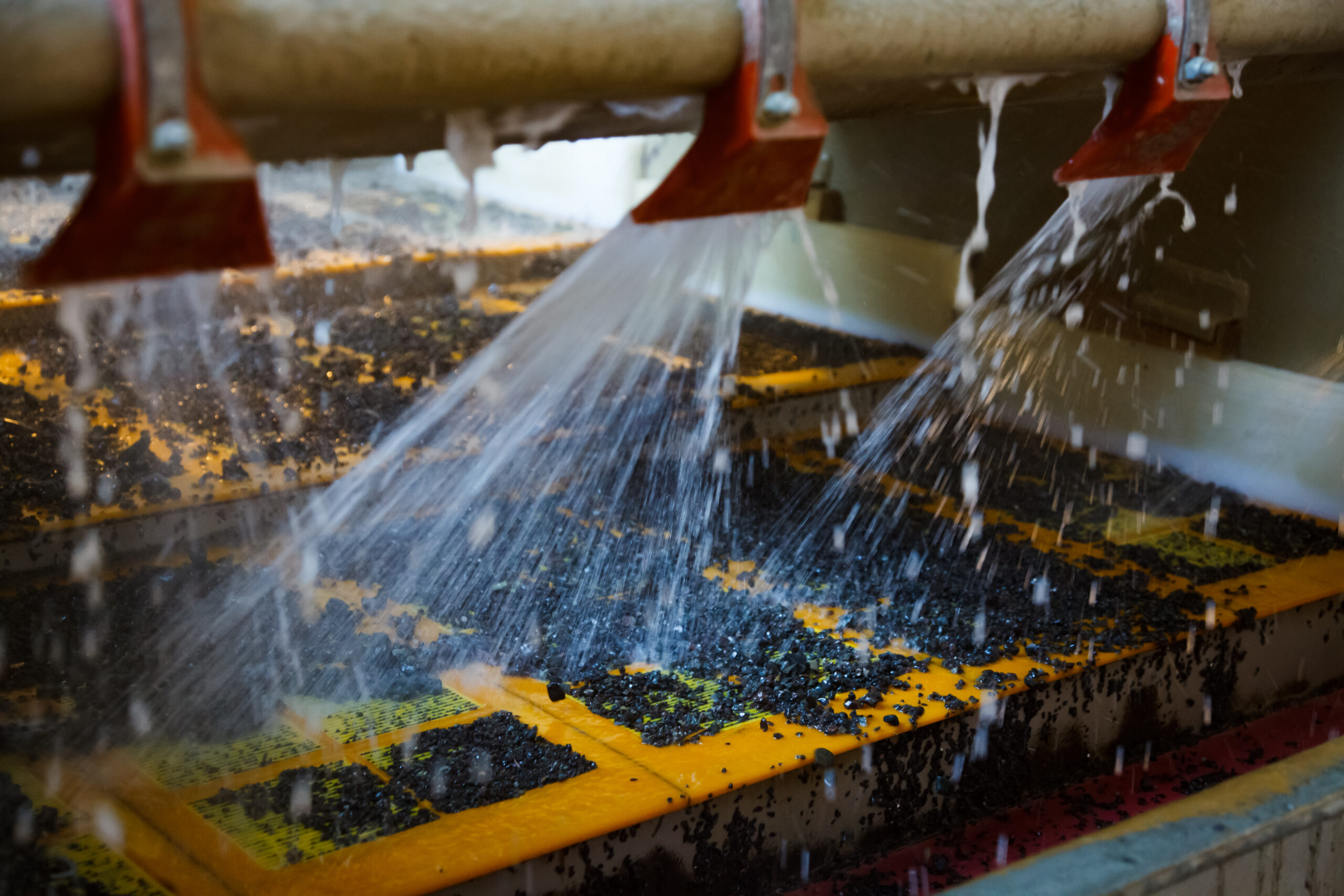 Gold ore rocks washing on conveyor belt